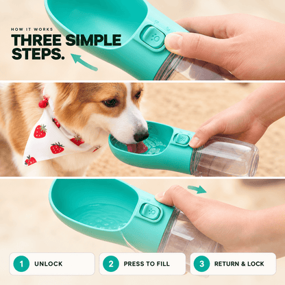 PawSip Portable Water Bottle